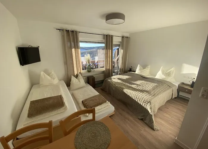 Gæstehus Haus Talblick Winterberg