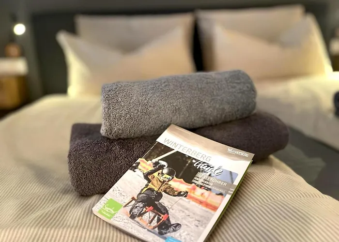 Haus Talblick Gæstehus Winterberg