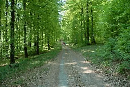 게스트하우스 Haus Talblick